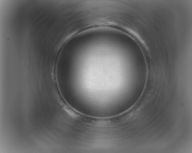 X0000071330889200606301558