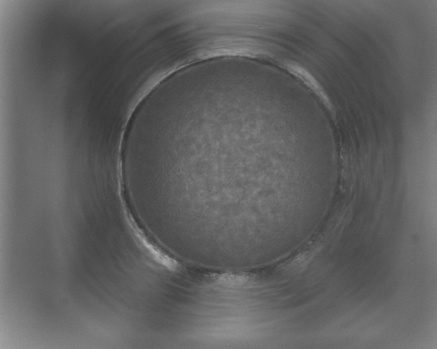 X0000071330890200606301558