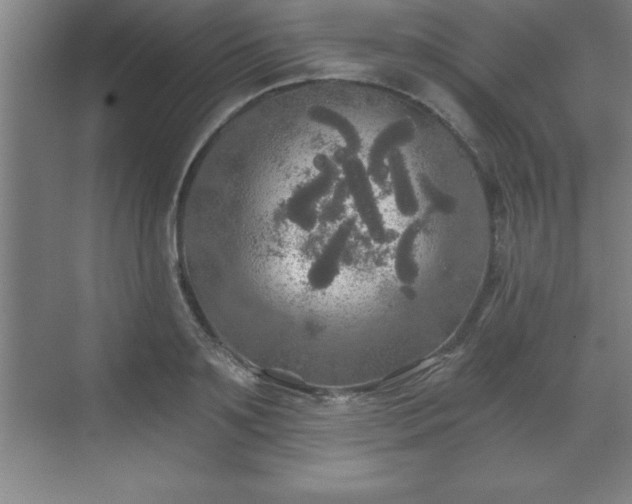 X0000071330891200606301558