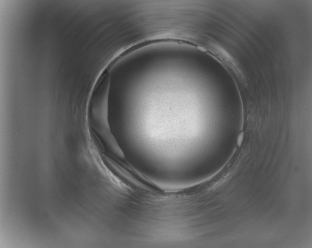 X0000071330892200606301558