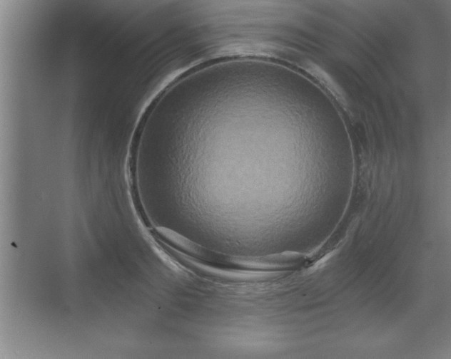 X0000071330893200606301557