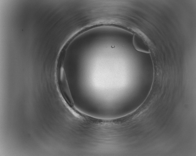 X0000071330894200606301557