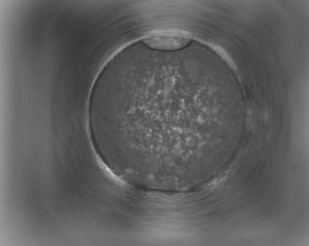 X0000071330895200606301557