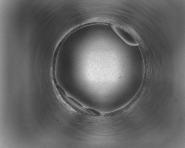 X0000071330896200606301557