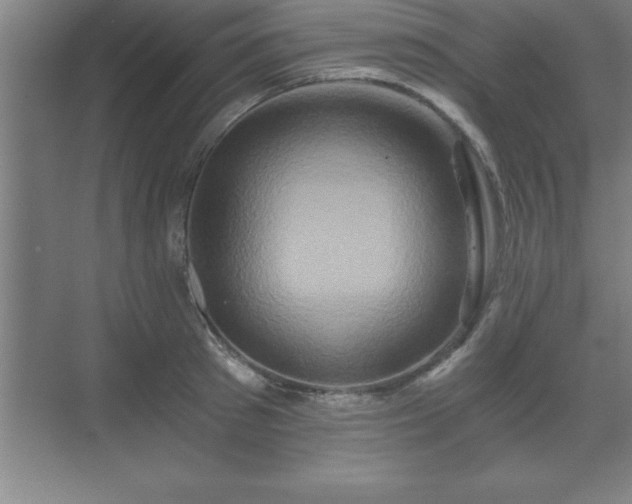 X0000071330897200606301557