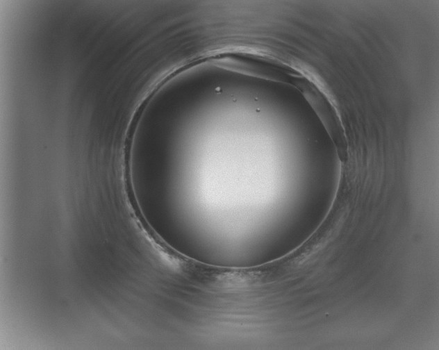 X0000071330898200606301557