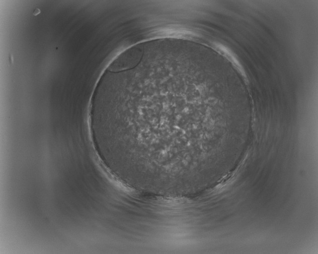 X0000071330899200606301557