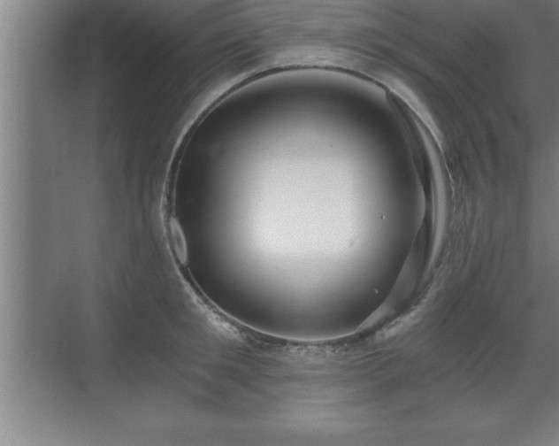 X0000071330901200606301557