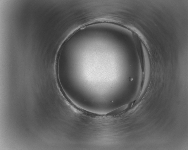 X0000071330902200606301557