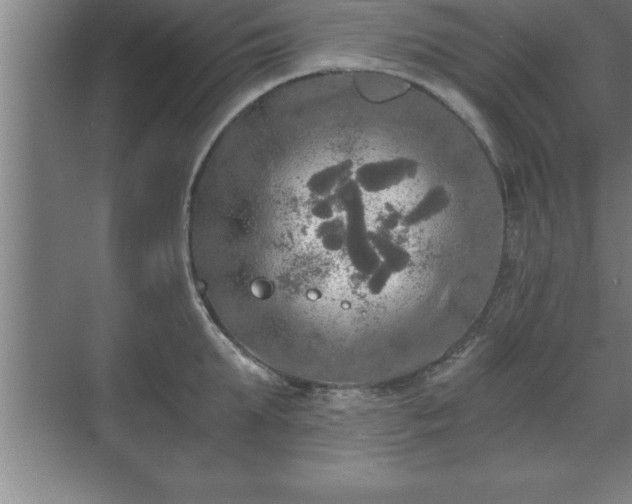 X0000071330903200606301557