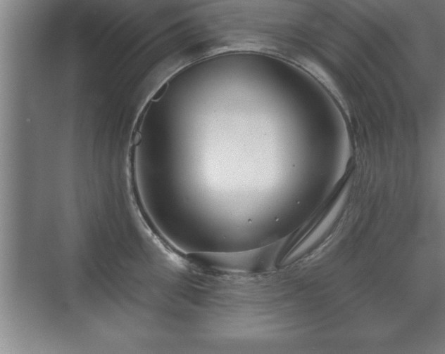 X0000071330906200606301557