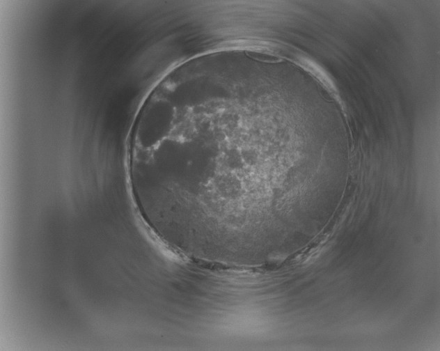 X0000071330907200606301557