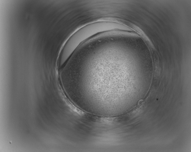 X0000071330908200606301557