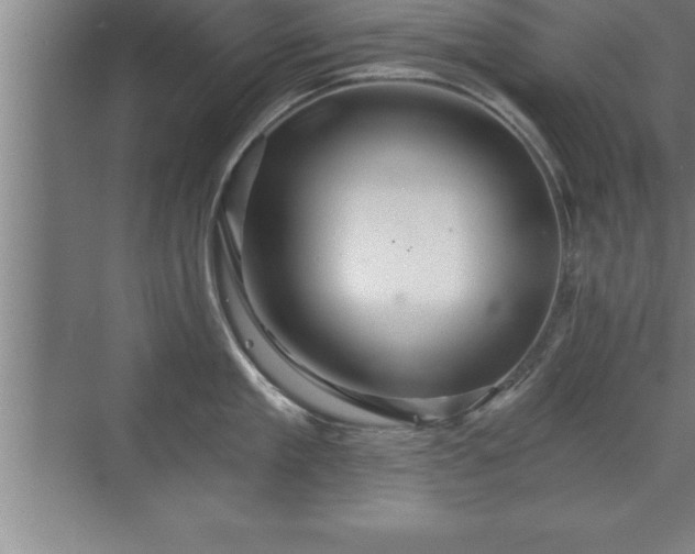 X0000071330909200606301557