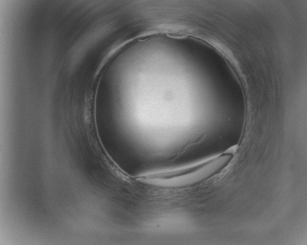 X0000071330912200606301557