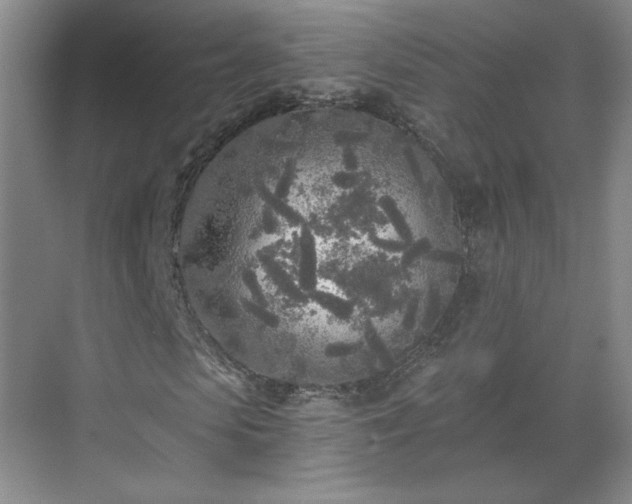 X0000071330913200606301556