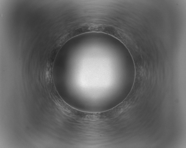 X0000071330914200606301556