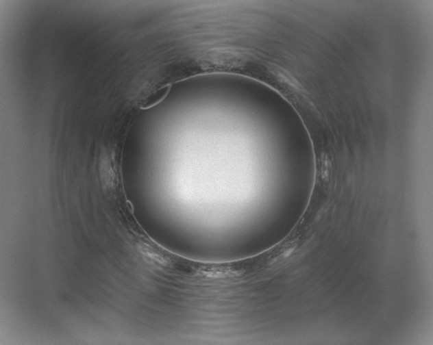 X0000071330915200606301556