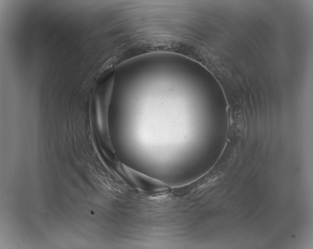 X0000071330916200606301556