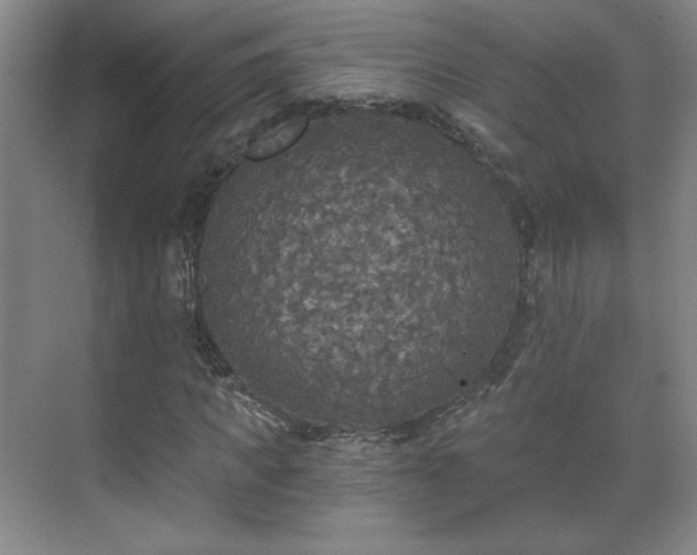 X0000071330917200606301556