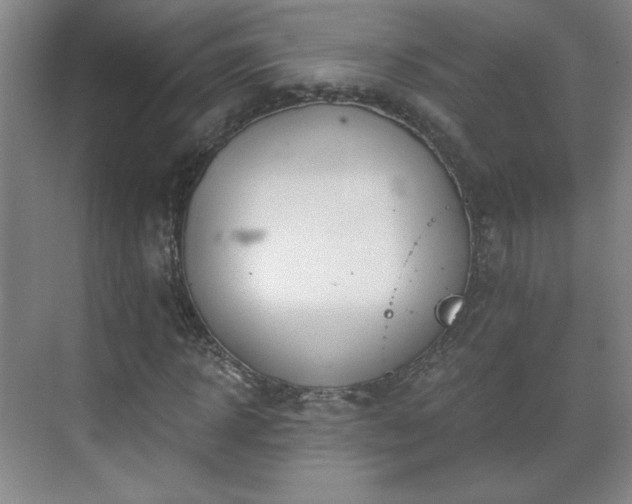 X0000071330918200606301556