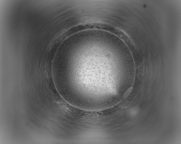 X0000071330919200606301556