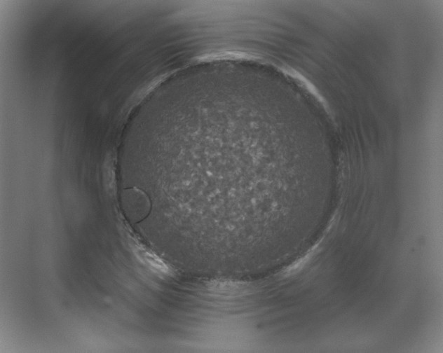 X0000071330921200606301557