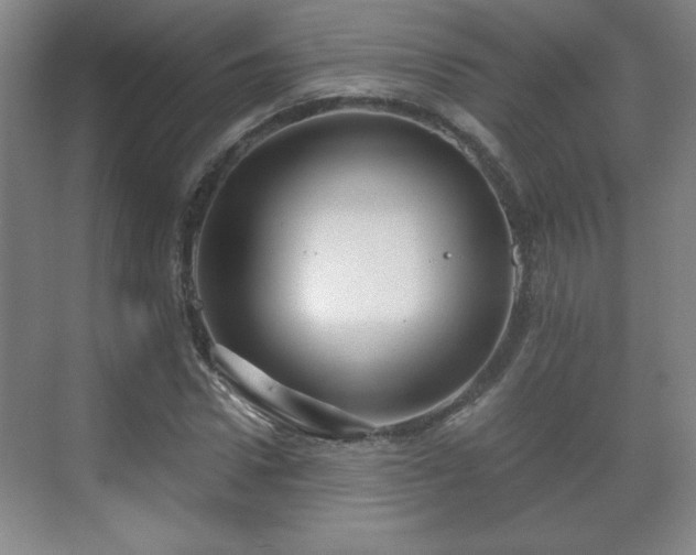 X0000071330922200606301557