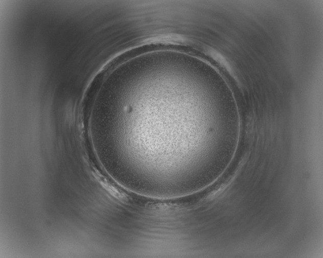 X0000071330923200606301557