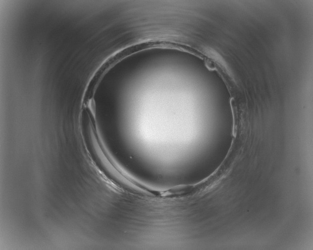 X0000071330924200606301557