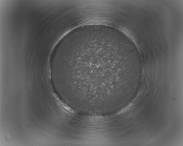 X0000071330925200606301557