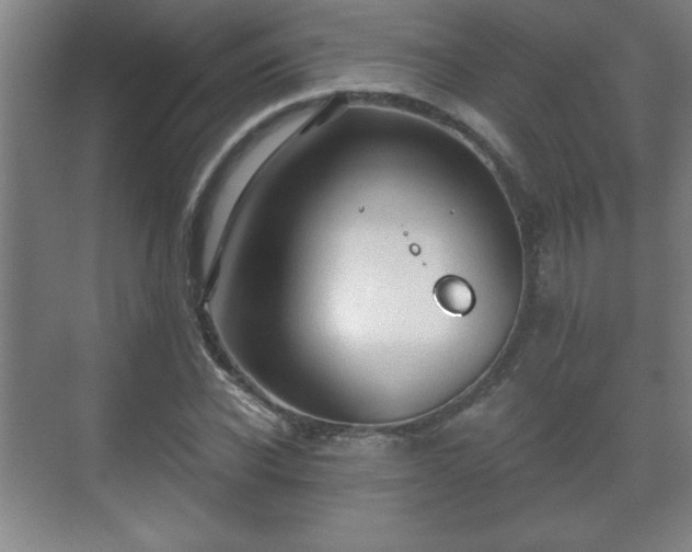 X0000071330926200606301557