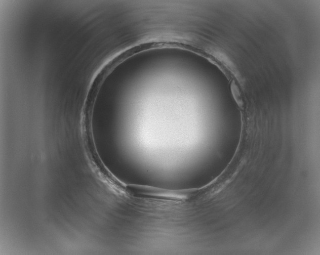 X0000071330928200606301557