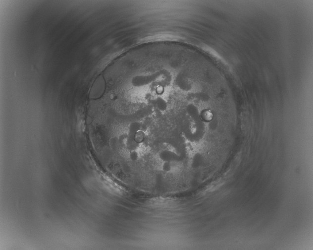 X0000071330929200606301557