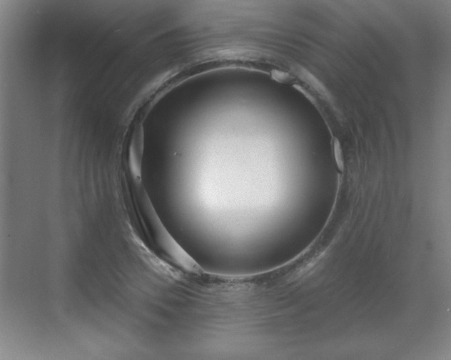 X0000071330930200606301557