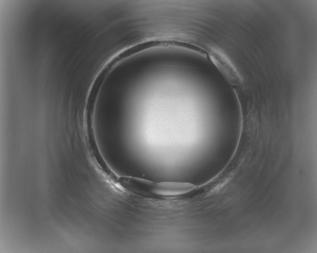 X0000071330932200606301557