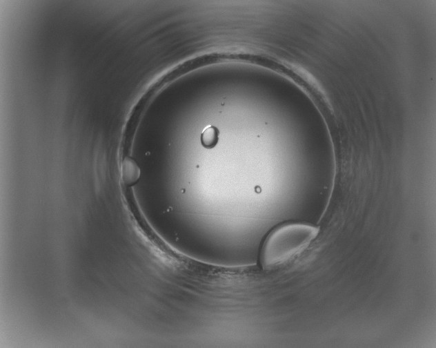 X0000071330935200606301557