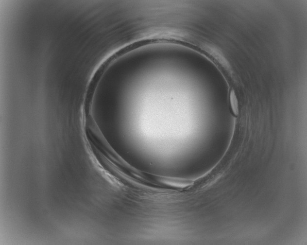 X0000071330936200606301557