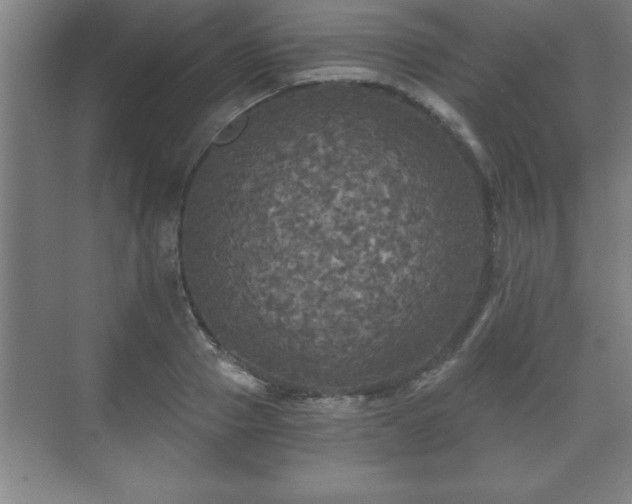 X0000071330937200606301557