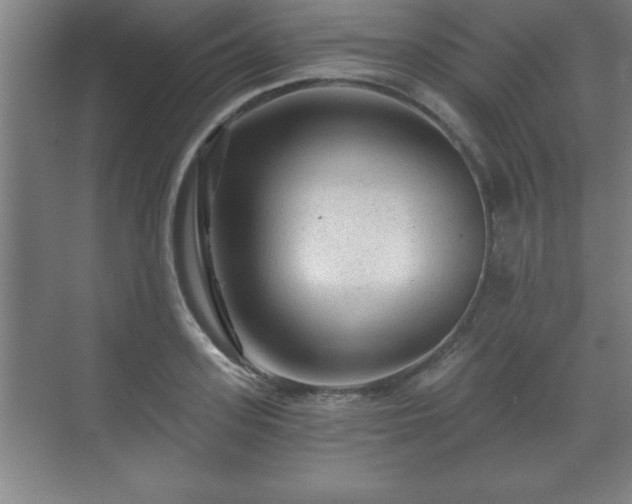 X0000071330939200606301557