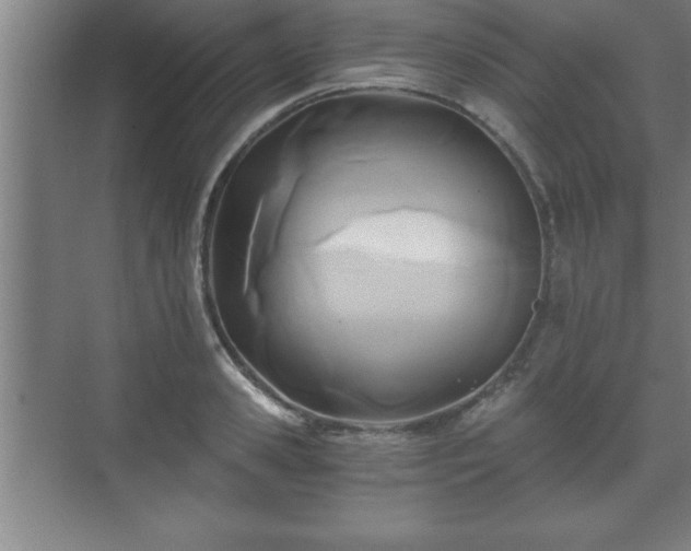 X0000071330941200606301557