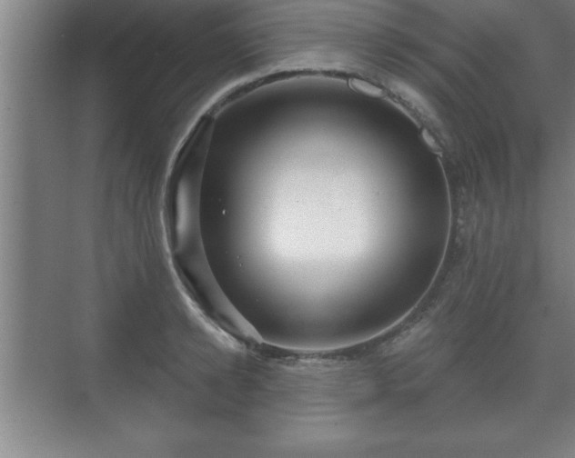 X0000071330942200606301557