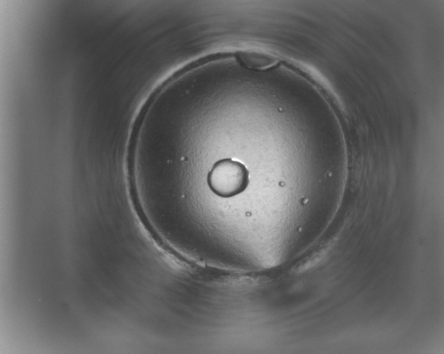 X0000071330943200606301557