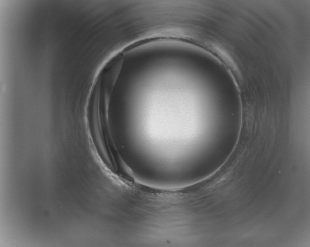 X0000071330944200606301557