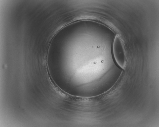 X0000071330945200606301557