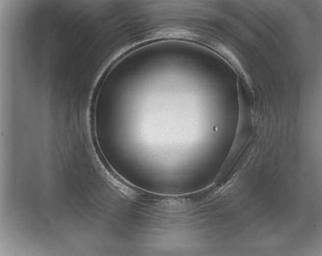 X0000071330947200606301557