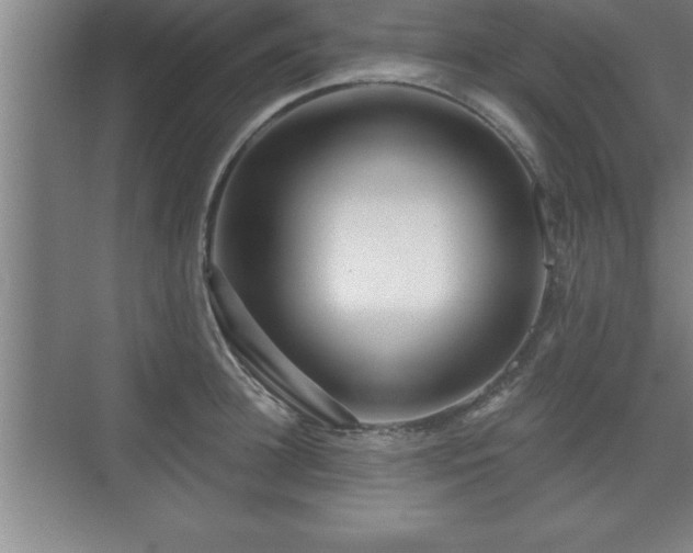 X0000071330948200606301557