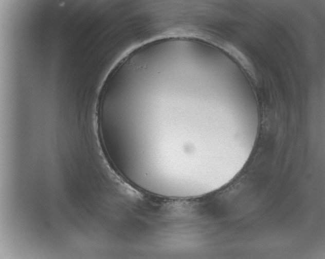 X0000071330950200606301557