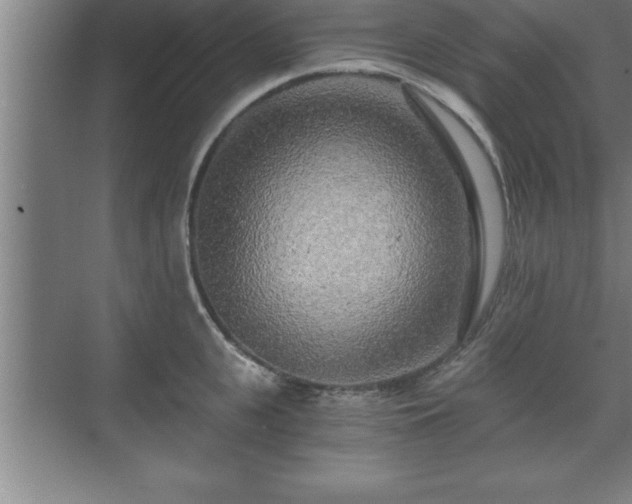 X0000071330951200606301557