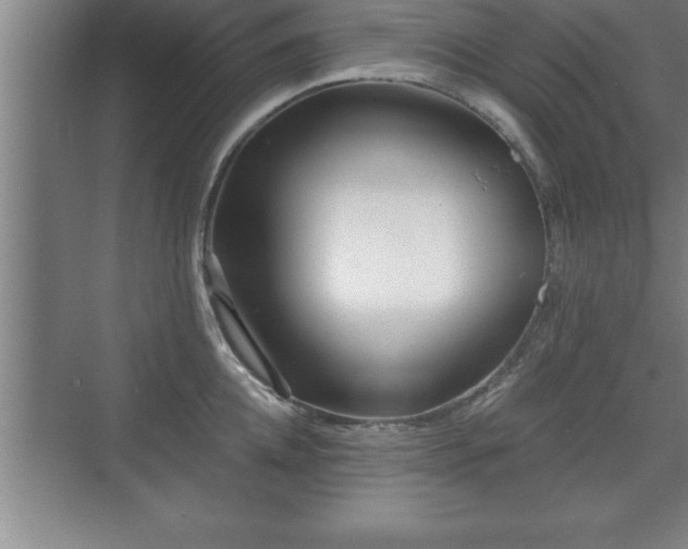 X0000071330952200606301557